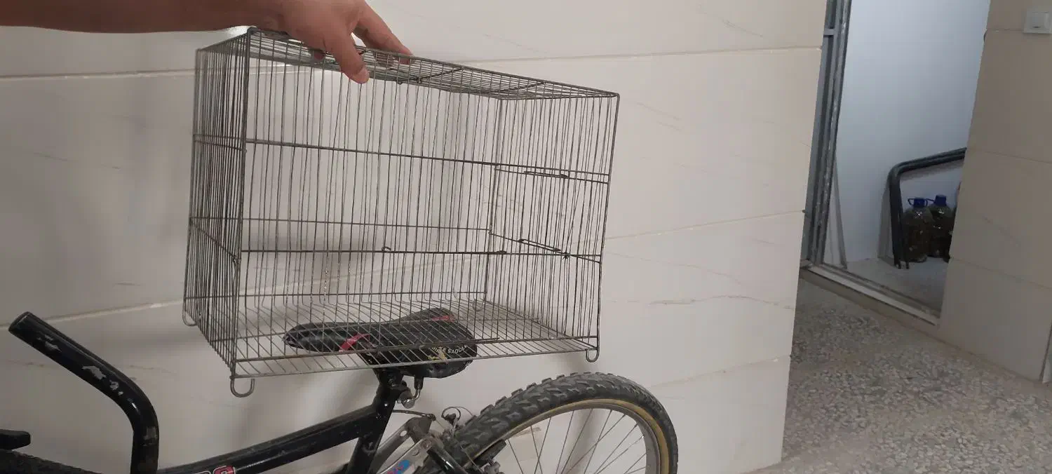 قفس سالم|لوازم جانبی حیوانات|وحیدیه, |دیوار