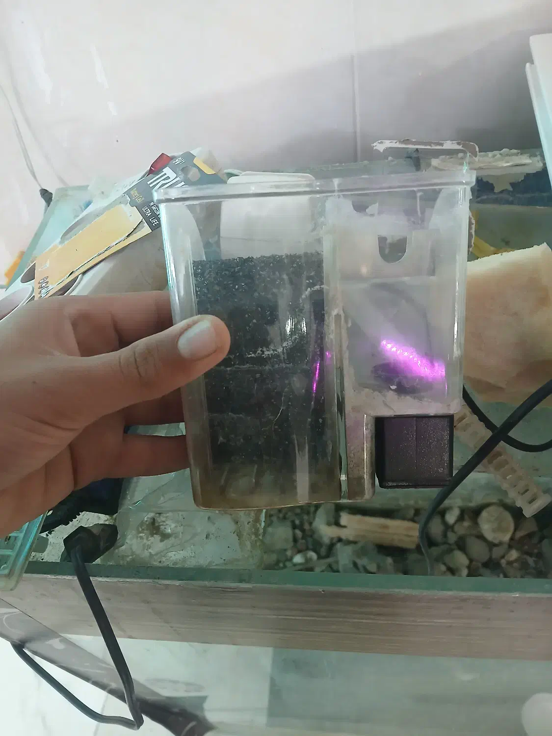 آکواریوم|ماهی|ملایر, |دیوار