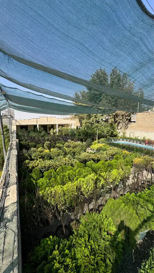 کارگر ساده جهت کار در گلخانه|خدمات باغبانی و درختکاری|مشهد, تبادکان|دیوار