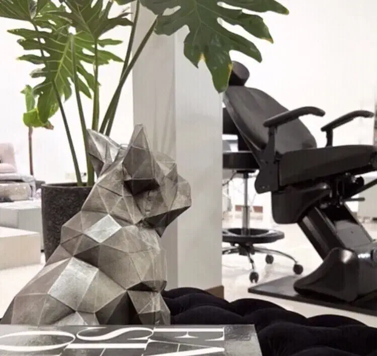 صندلی برقی دو موتوره سالم ، به همراه صندلی چرخشی|آرایشگاه و سالن‌های زیبایی|کرمان, |دیوار