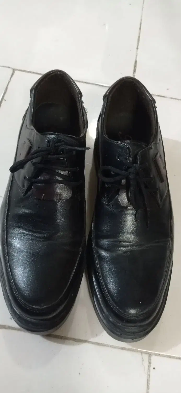 کفش مردانه در حد نو ۳۸۰|کیف، کفش، کمربند|هشتگرد, شهرک آرتیمان|دیوار