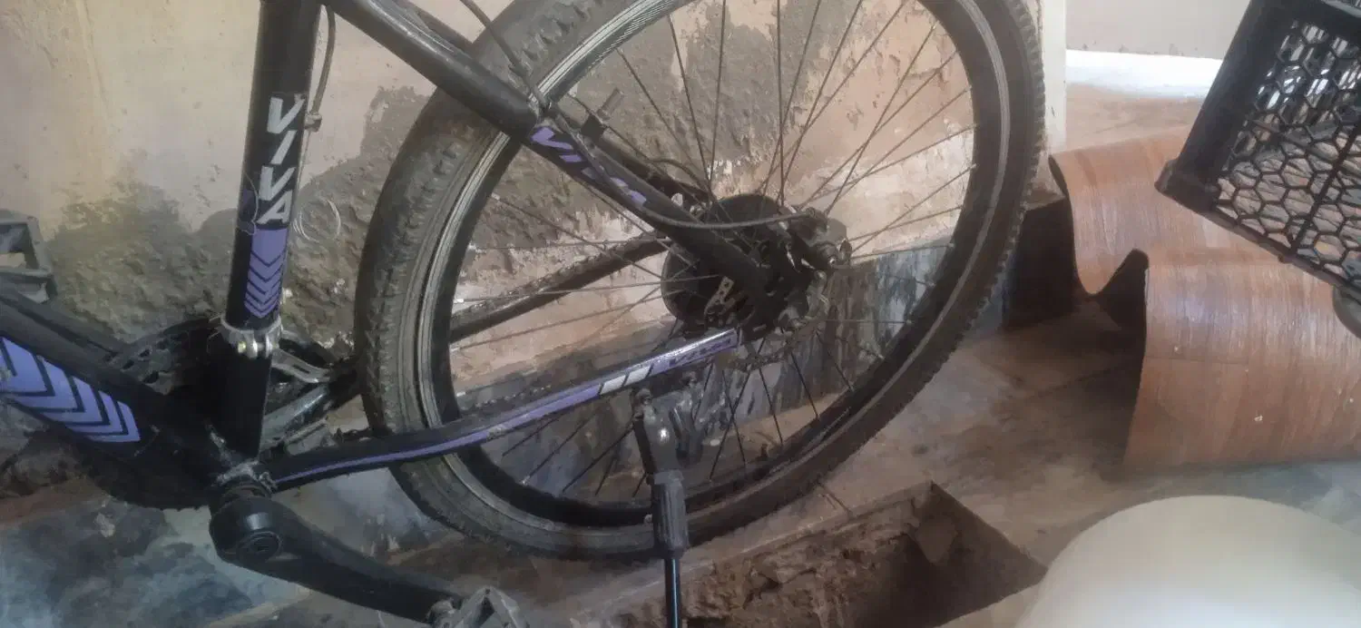 دوچرخه ویوا|دوچرخه، اسکیت، اسکوتر|زالیان, |دیوار