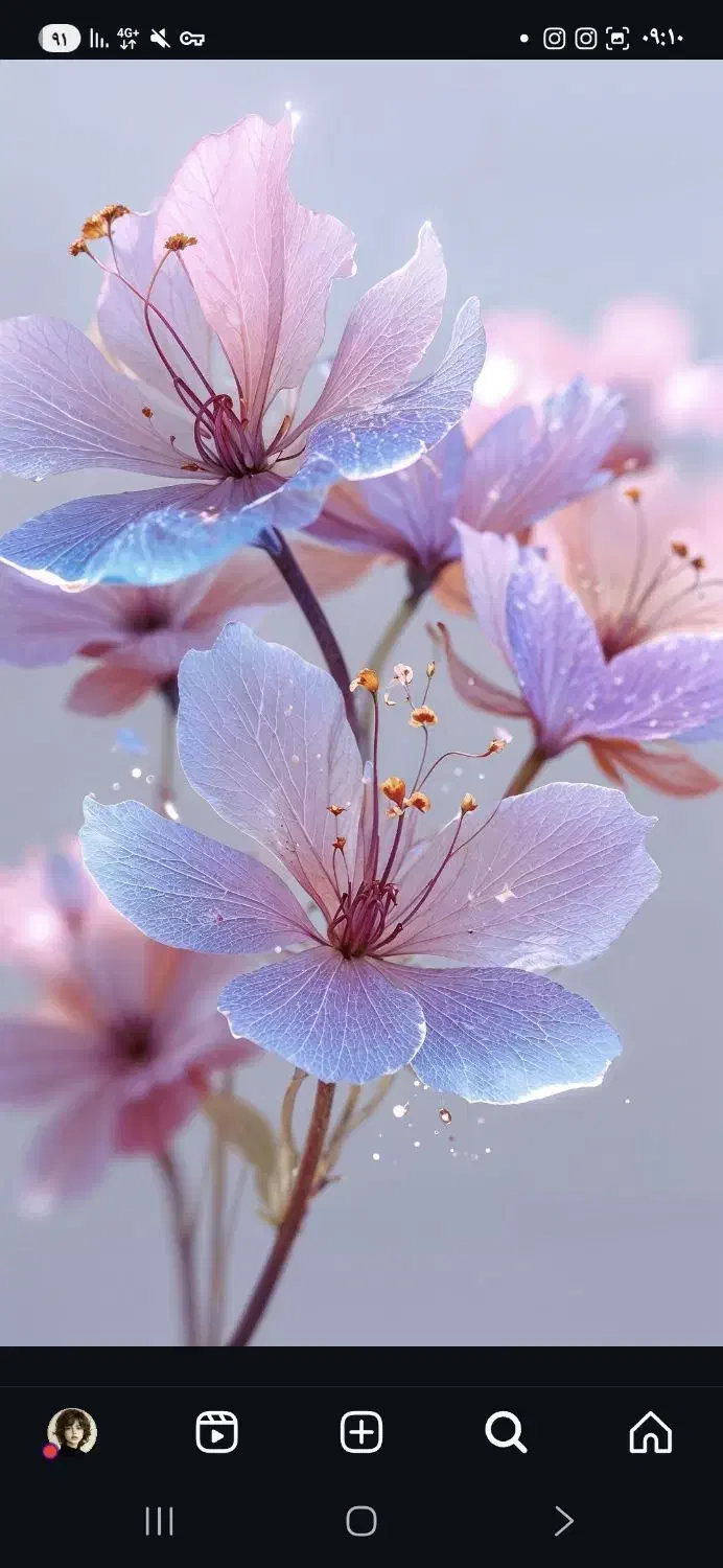 تدریس خصوصی|خدمات آموزشی|میاندوآب, |دیوار