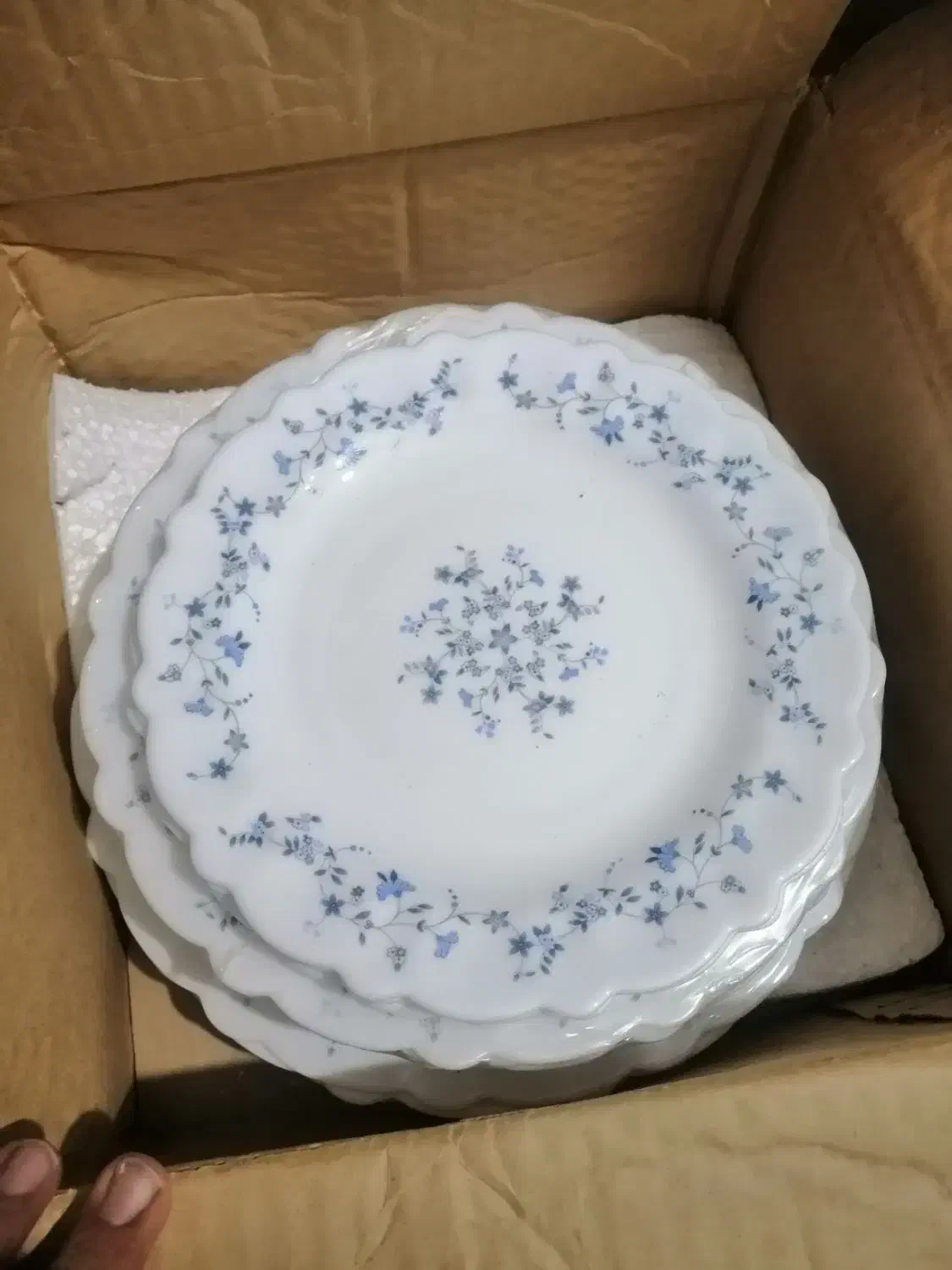 سرویس بشقاب|ظروف سرو و پذیرایی|بم, |دیوار