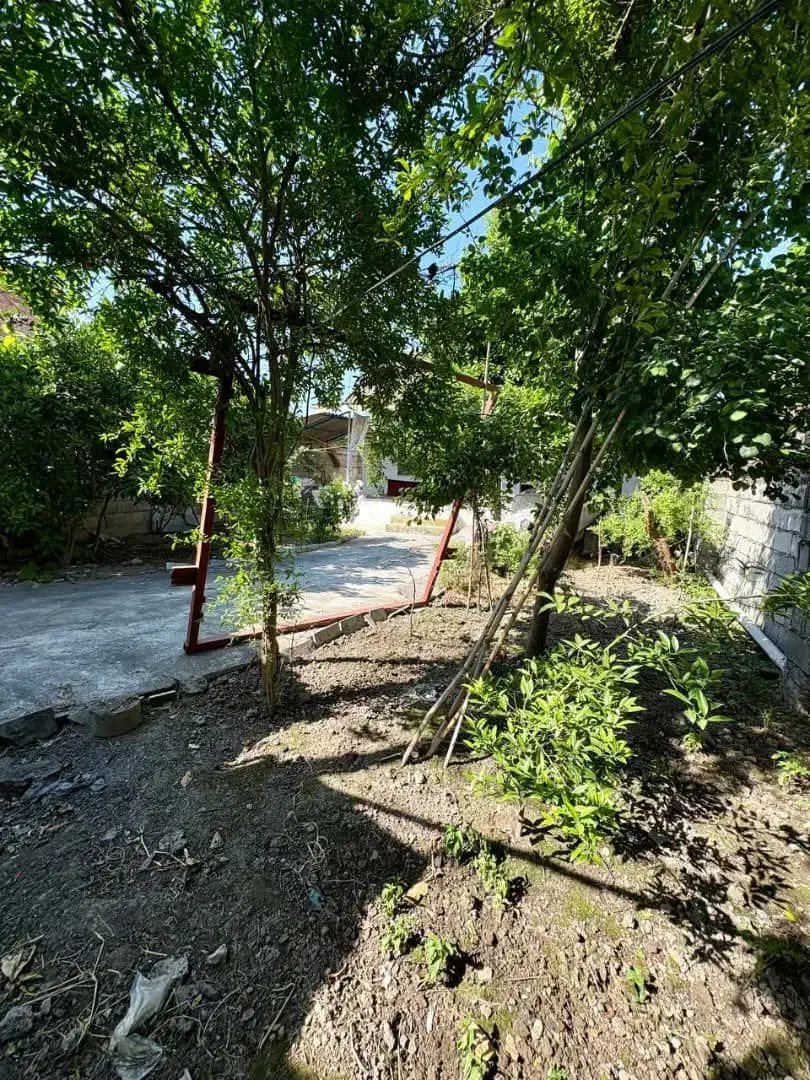 خانه قدیمی قیمت مناسب جاده واسکس سنددار|فروش خانه و ویلا|دابودشت, |دیوار