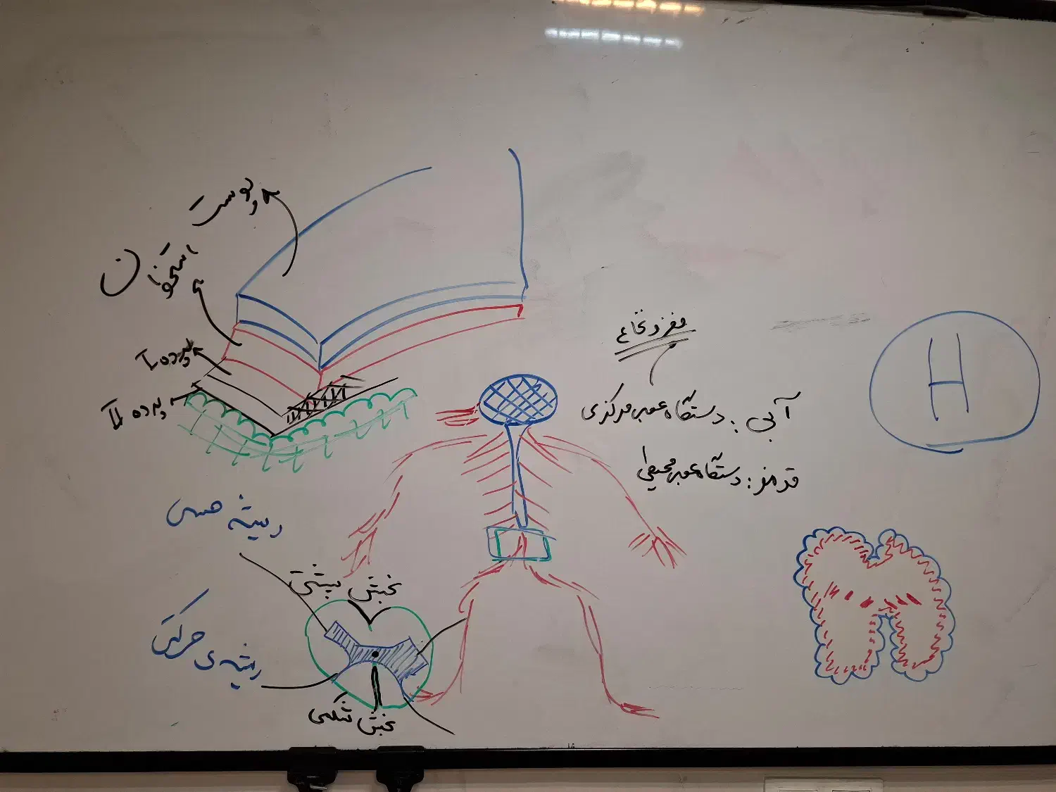 کلاس عمومی و خصوصی اردبیل و حومه|فعالیت داوطلبانه|اردبیل, |دیوار