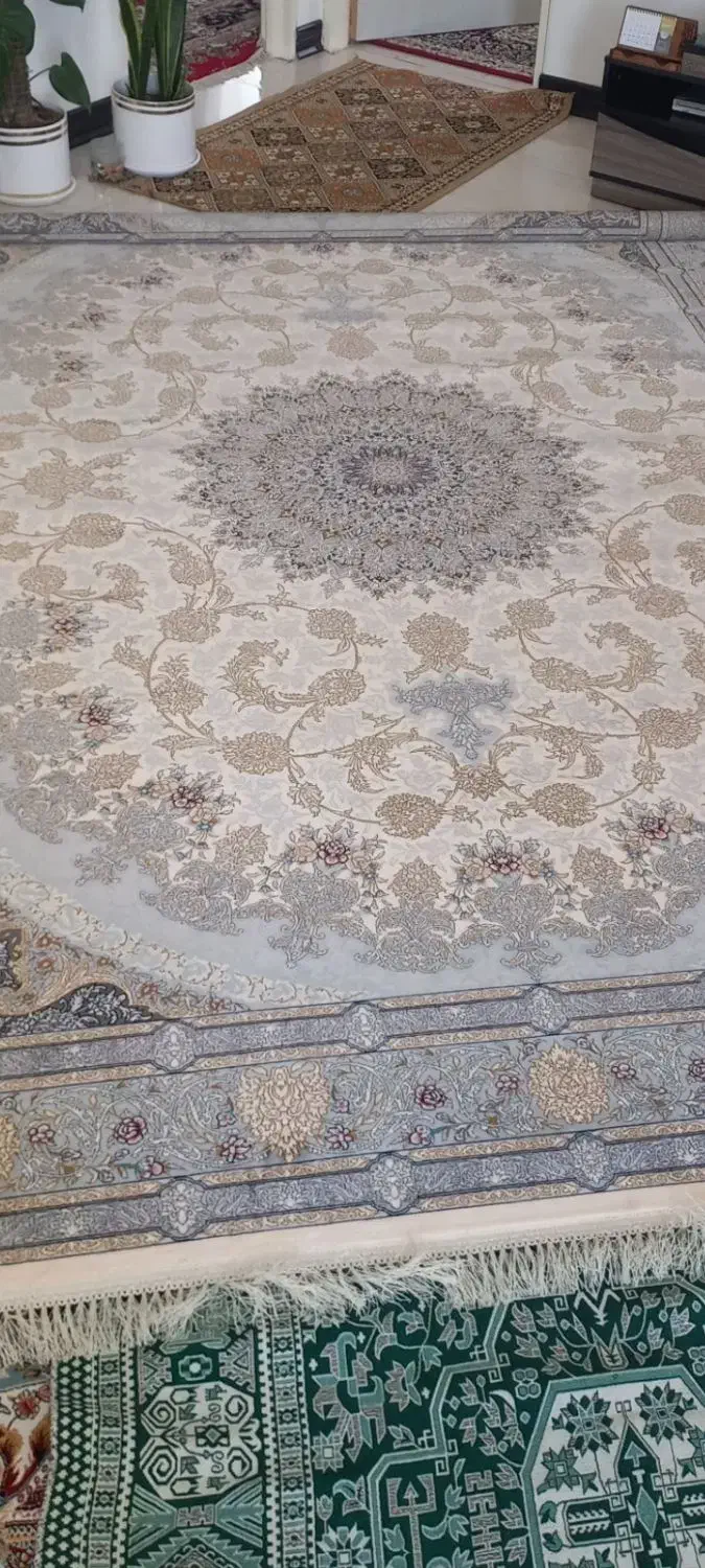 فرش ۹ متری ۲/۵ در ۳/۵|فرش|سبزوار, کاشفی شمالی (دادگستری)|دیوار