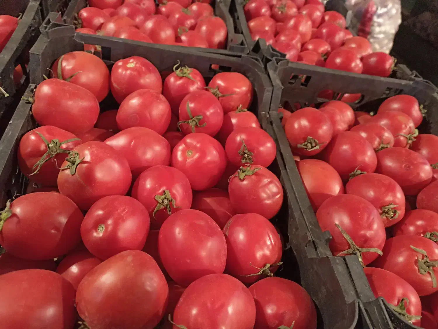 کارگر میدان میوه تره بار مرکزی تهران|استخدام خدمات فروشگاه و رستوران|تهران, میدان میوه و ترهبار مرکزی|دیوار