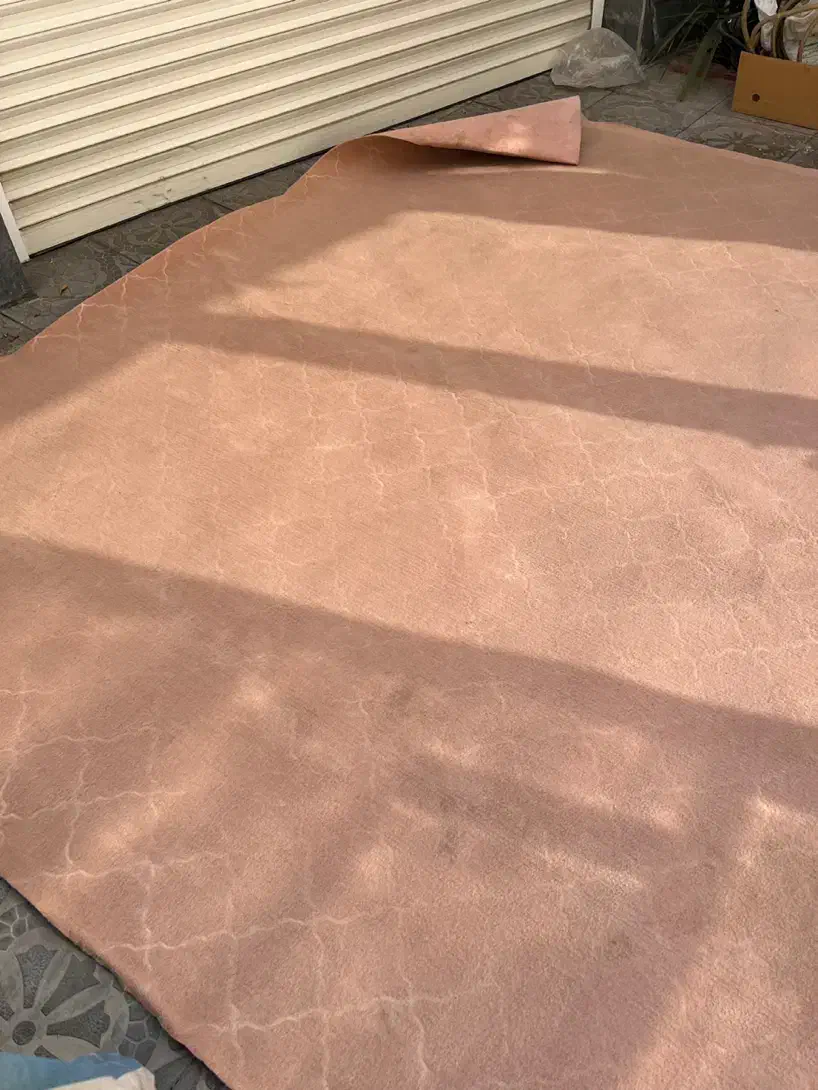 موکت کارکرده|موکت|خوی, |دیوار