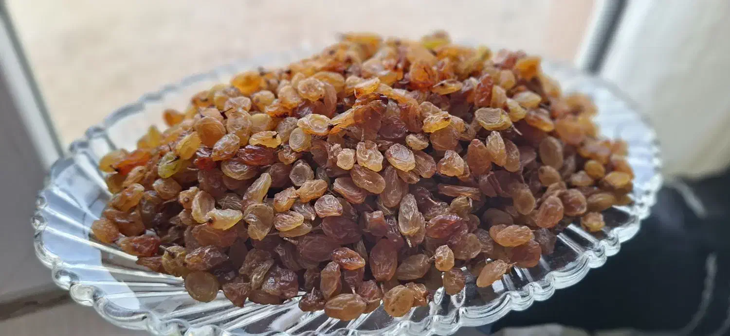 کشمش پلویی تمیز افتابی سیسخت|خوردنی و آشامیدنی|بوستان, |دیوار