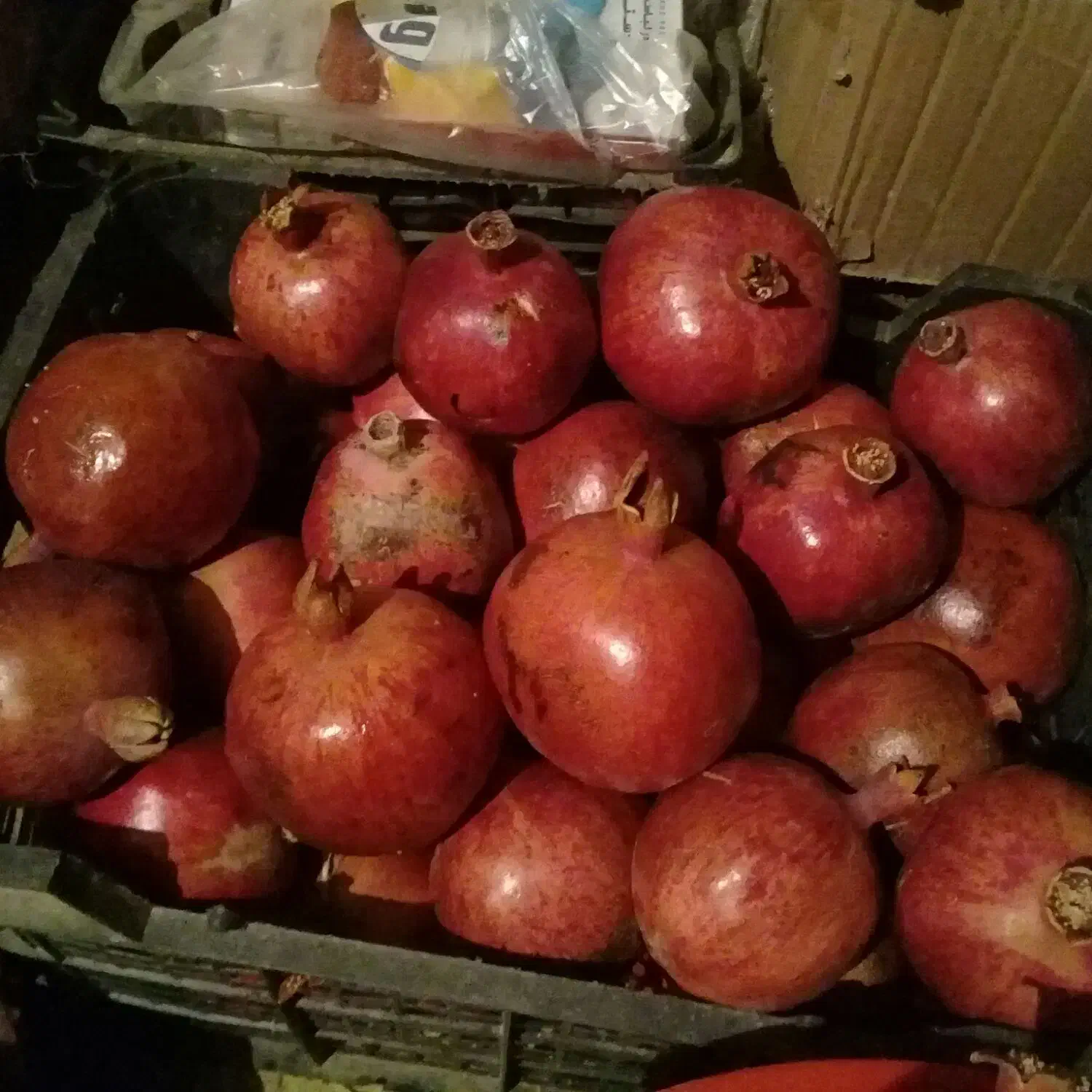 انار|خوردنی و آشامیدنی|فردوس (خراسان), |دیوار