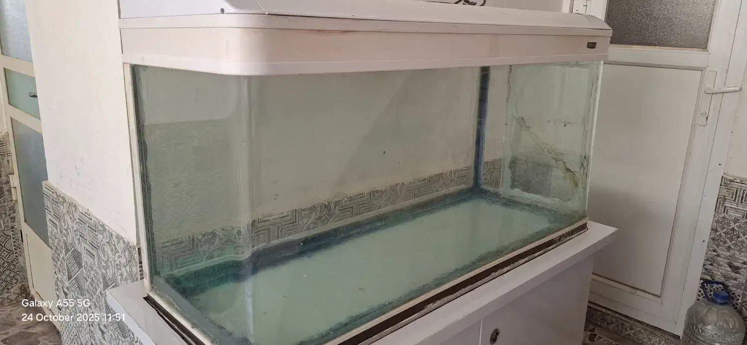 آکواریوم|ماهی|آبادان, |دیوار