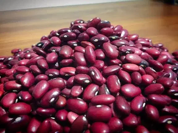 لوبیا قرمز درجه ۱|خوردنی و آشامیدنی|شیراز, رکنآباد|دیوار