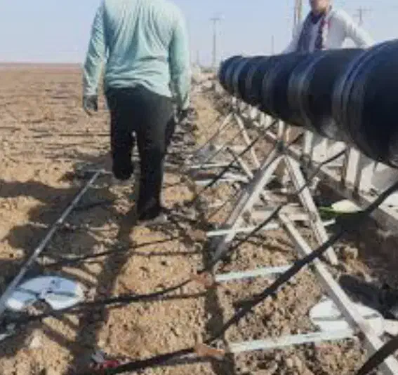 نیازمند کارگر کشاورزی|استخدام صنعتی، فنی، مهندسی|کازرون, |دیوار