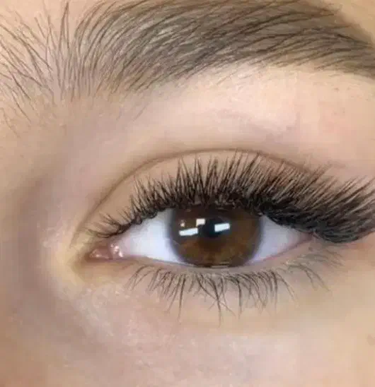 کاشت گیاهی تخفیف۳۰٪|خدمات آرایشگری و زیبایی|سنندج, |دیوار