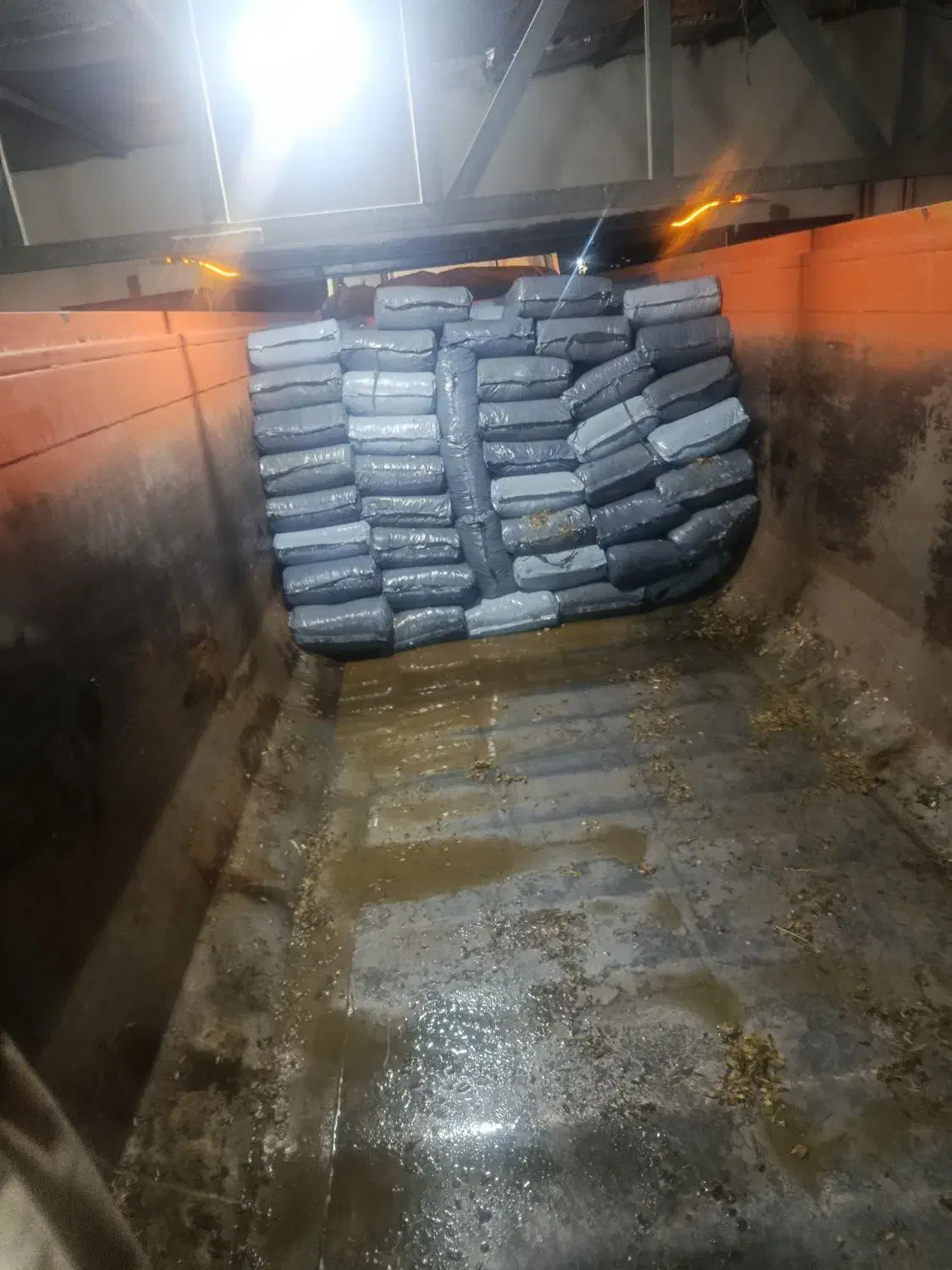 ذرت علوفهای پردان|عمدهفروشی|نهاوند, |دیوار