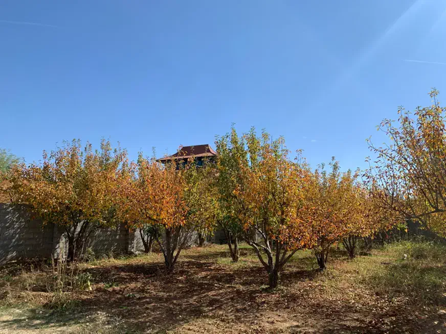 فروش زمین - هماشهر|فروش زمین و ملک کلنگی|همایجان, |دیوار