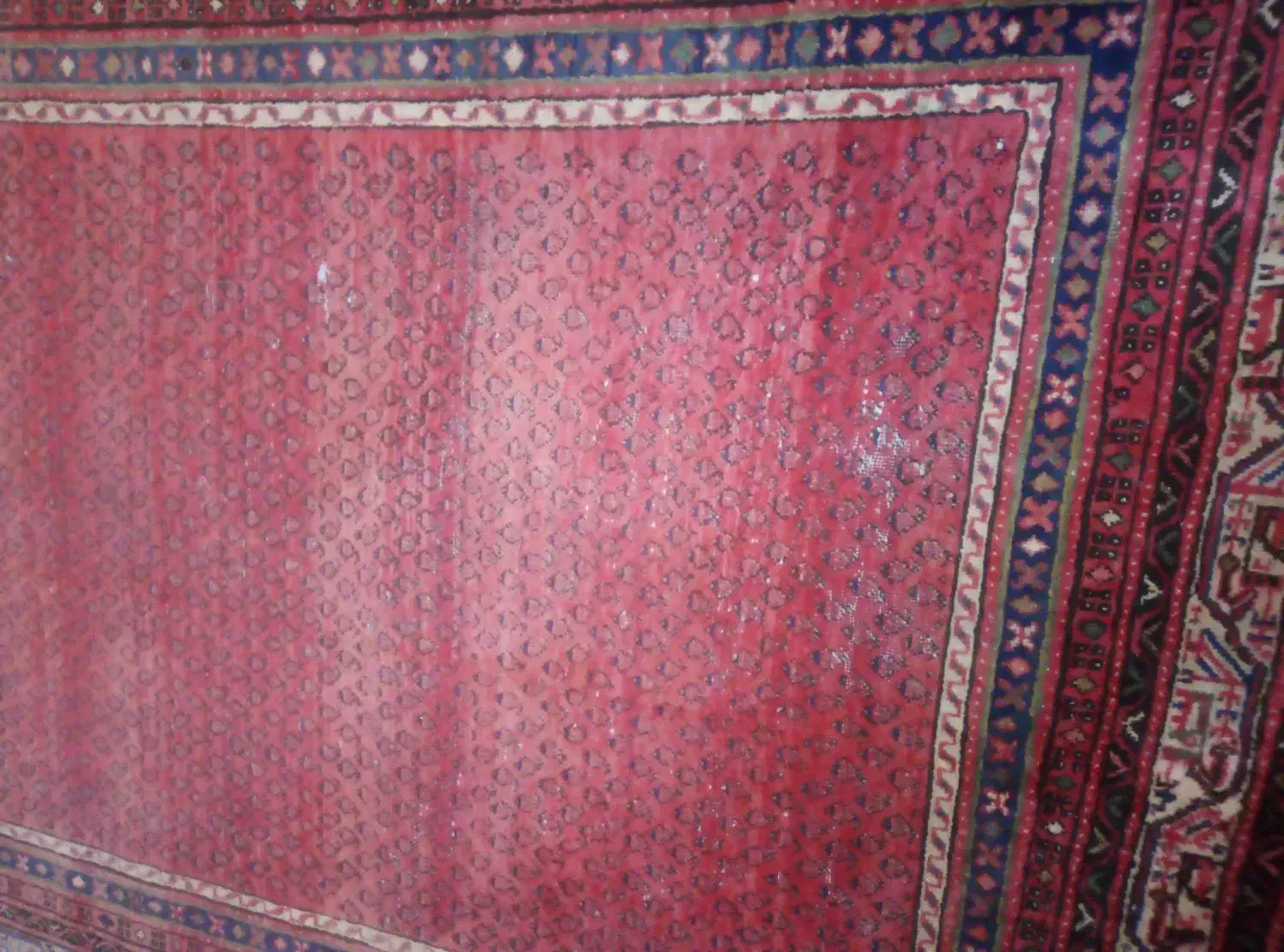 فرش دستباف|فرش|بروجرد, |دیوار