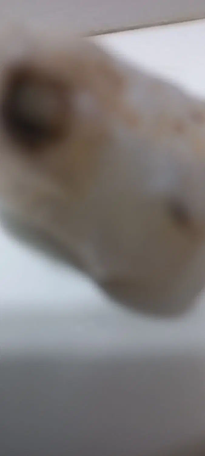 سنگ مشکوک به شاب سنگ|جواهرات|قزوین, |دیوار