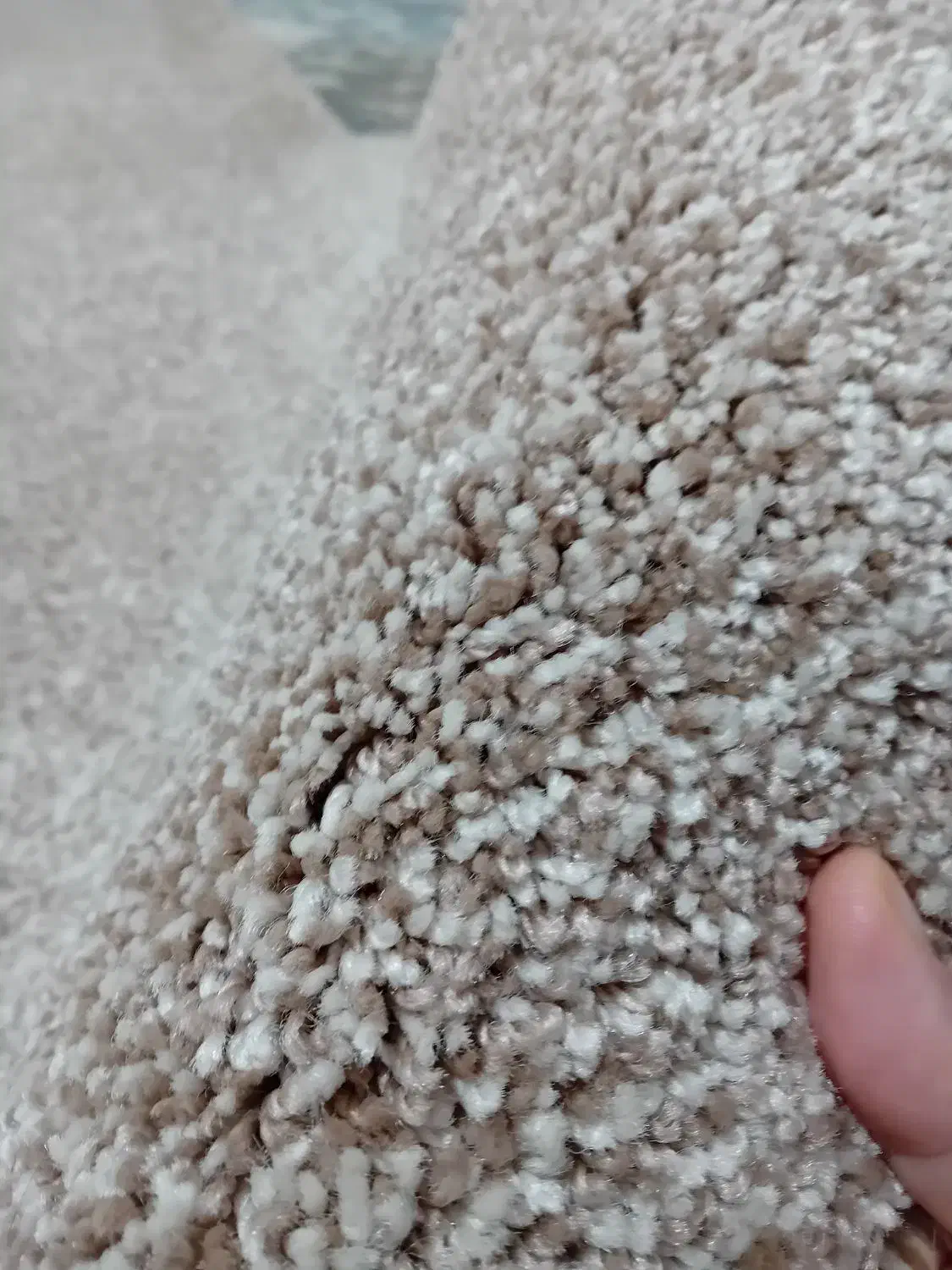 موکت ۱۲ متری|موکت|ایلام, |دیوار