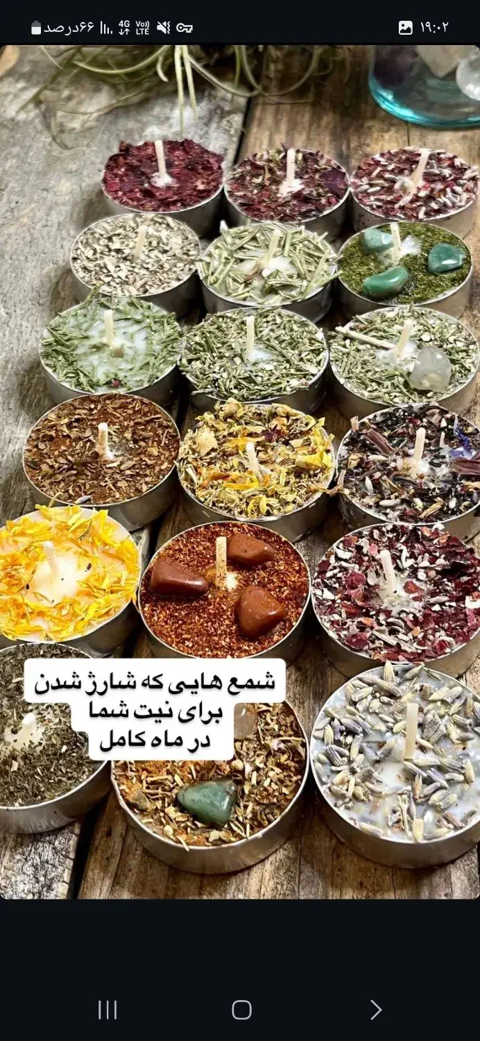 فال تاروت پاسور قهوه وشمع تراپی واموزش تضمینی|خدمات پذیرایی، مراسم|تهران, تجریش|دیوار