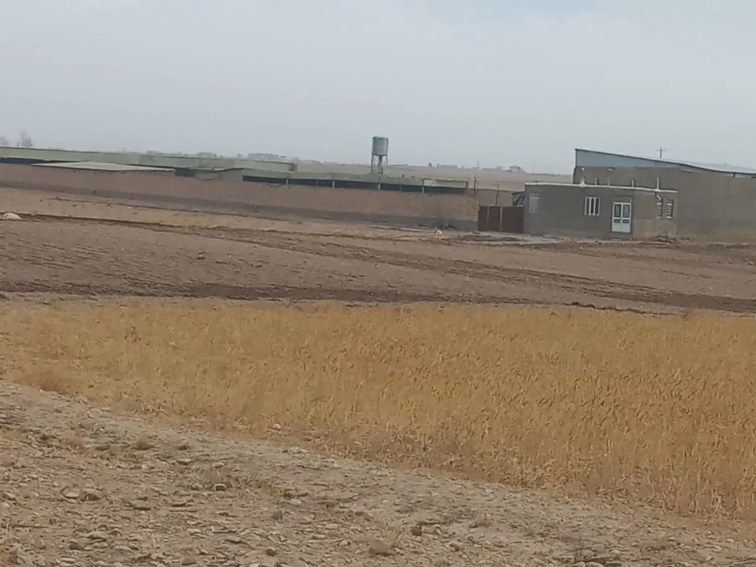 کارگر گاوداری|استخدام سرایداری و نظافت|نیشابور, ماروسک|دیوار