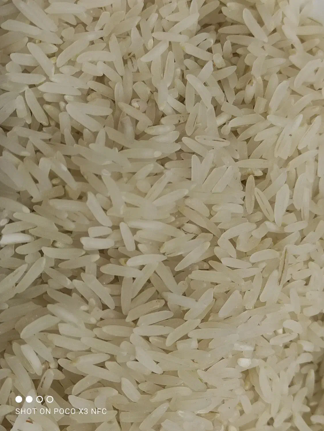برنج فجر درجه یک|خوردنی و آشامیدنی|علیآباد کتول, |دیوار