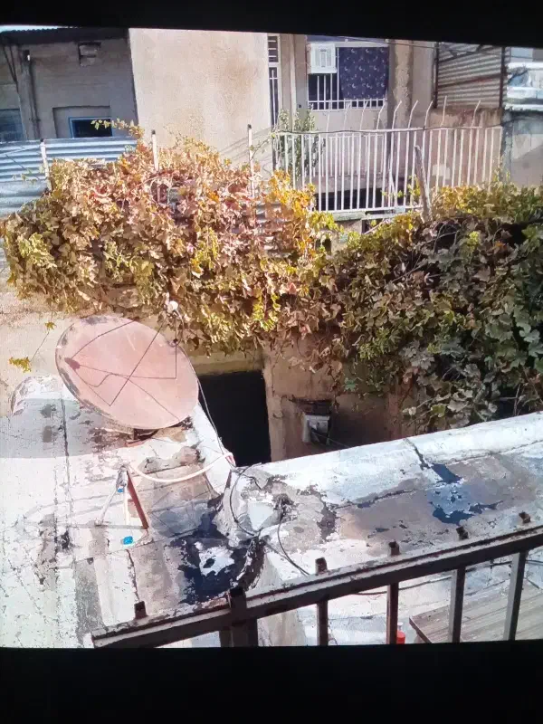 هم خونه خانوم|اجارهٔ آپارتمان|کرمانشاه, |دیوار