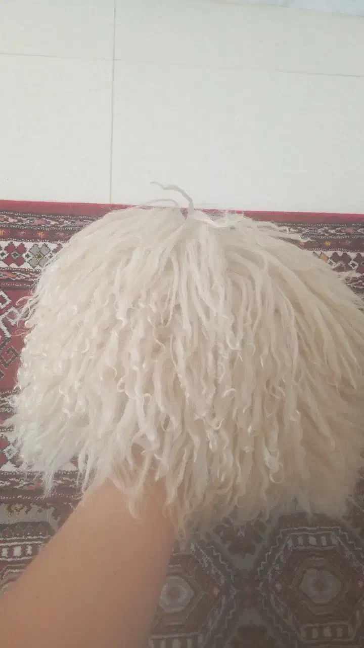تلپک اصل سیلکمه نو نو از پوست بره ترکمنستانی اصل|لباس|گنبد کاووس, |دیوار