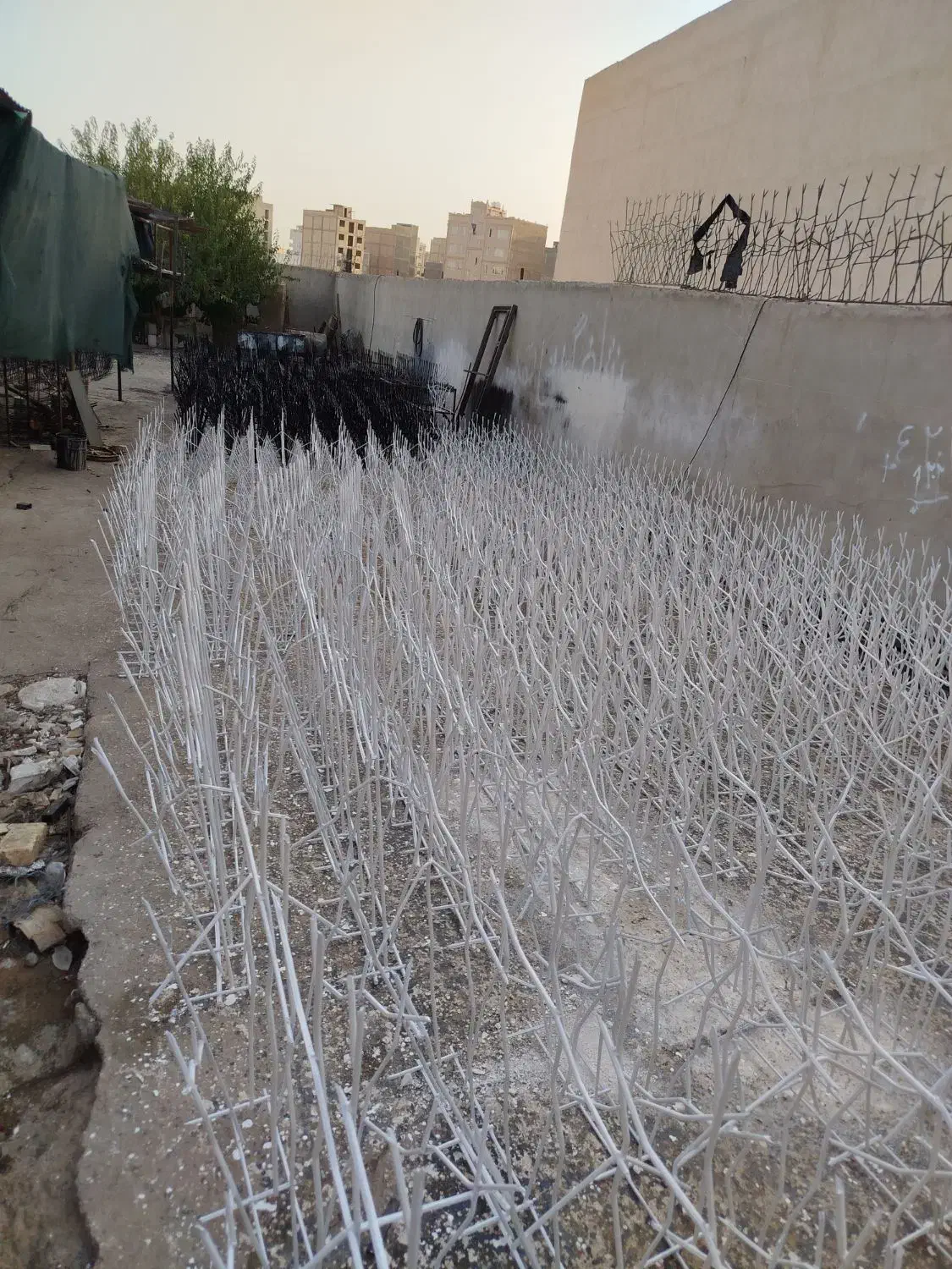 شاخ گوزنی|مصالح و تجهیزات ساختمان|ورامین, شهرک فجر|دیوار