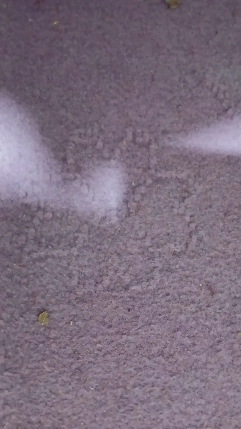 دو رنگ موکت کاملا جنس خوب|موکت|تبریز, |دیوار