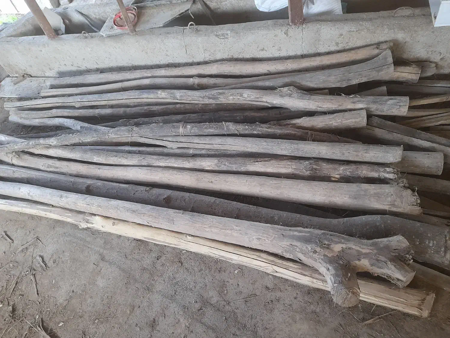 چوب صنوبر|مصالح و تجهیزات ساختمان|رشت, سیا اسطلخ|دیوار