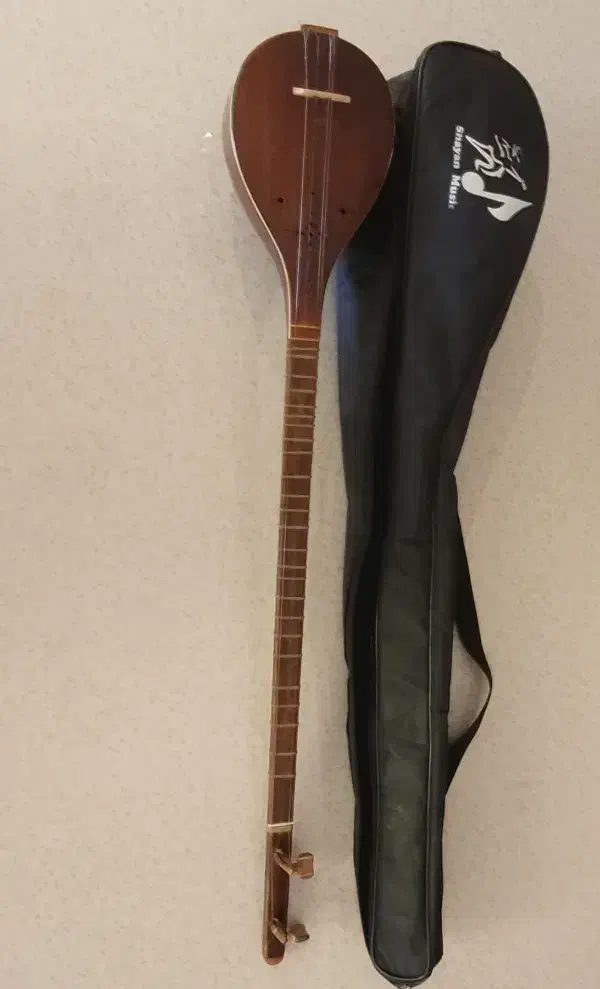 سه تار مفاخری|سازهای سنتی|لنجان, |دیوار