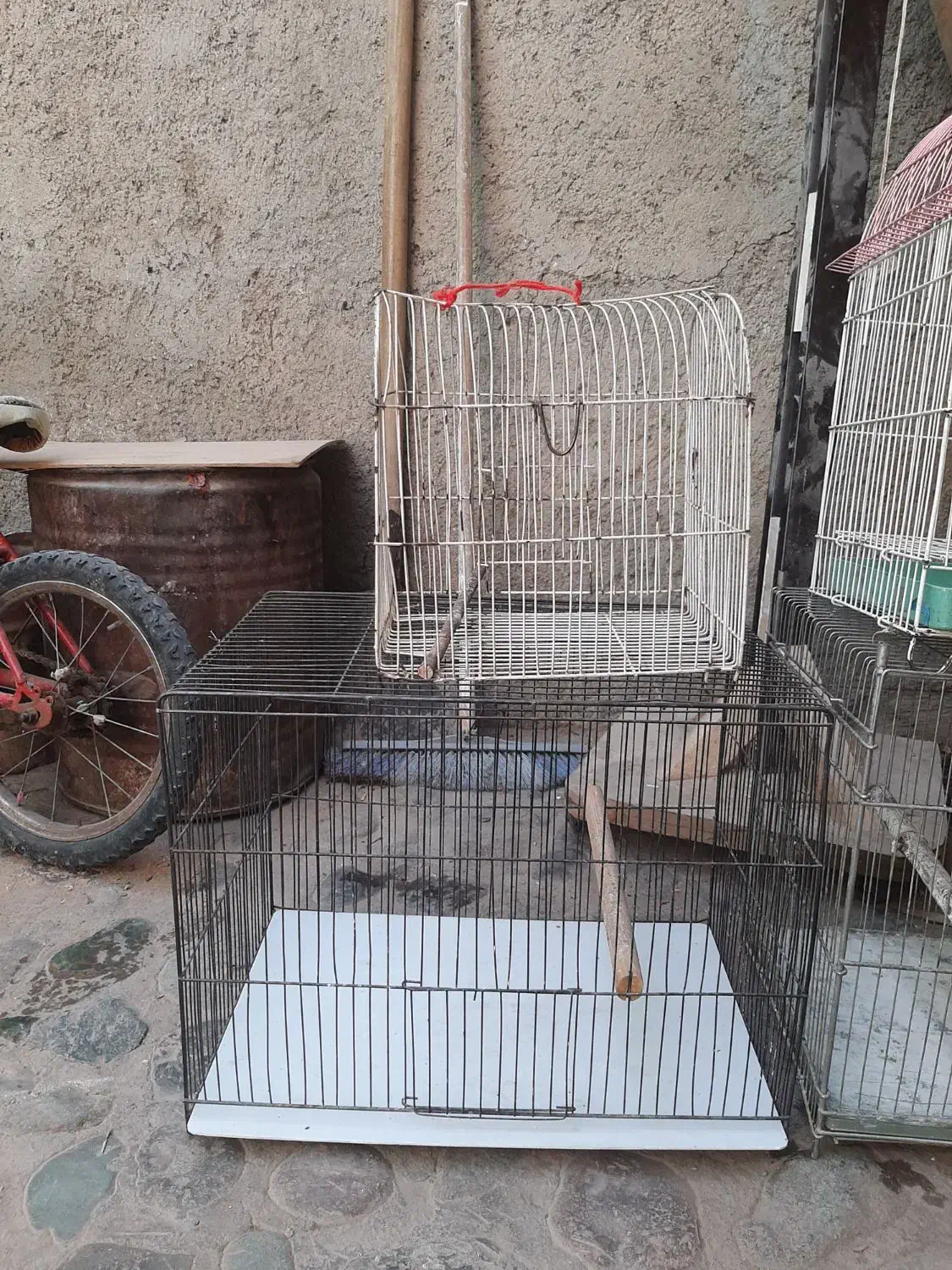 قفس پرنده|لوازم جانبی حیوانات|فردوسیه, |دیوار