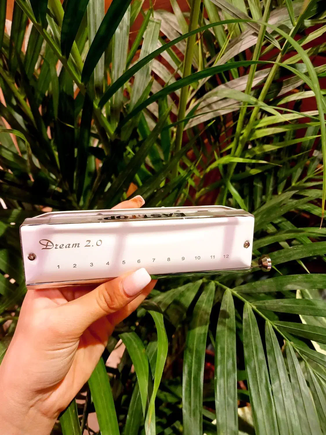 هارمونیکا ایستاپ|سازهای بادی|قزوین, |دیوار