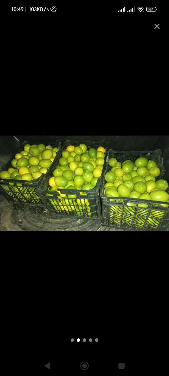 لیمو سنگی|حراج|اهواز, کوی سعدی|دیوار