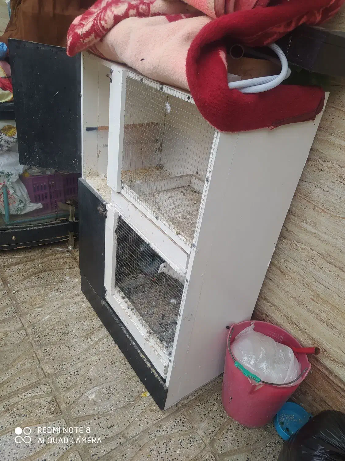 قفس|لوازم جانبی حیوانات|طبس, |دیوار