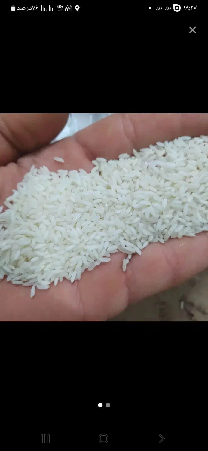 برنج عنبربو|خوردنی و آشامیدنی|دلیجان, |دیوار