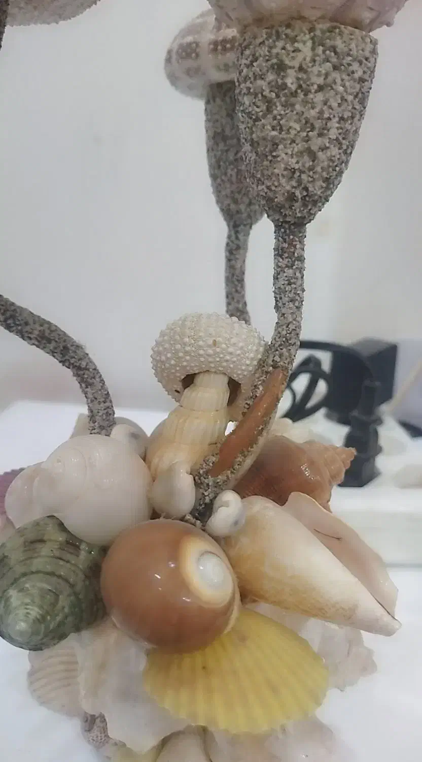 آباژورصدفی|چراغ خواب و آباژور|دورود, |دیوار