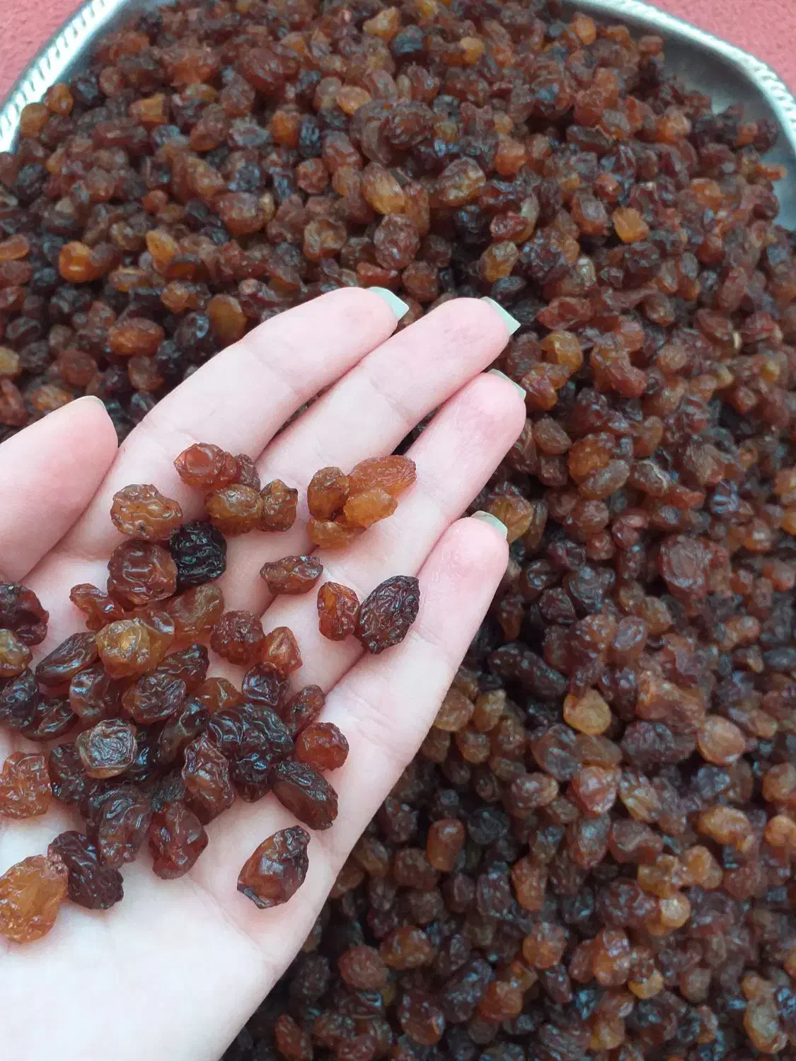 کشمش آفتابی|خوردنی و آشامیدنی|قزوین, |دیوار