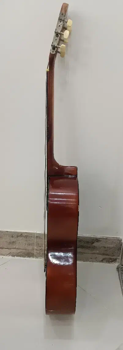 گیتار|گیتار، بیس، امپلیفایر|تایباد, |دیوار