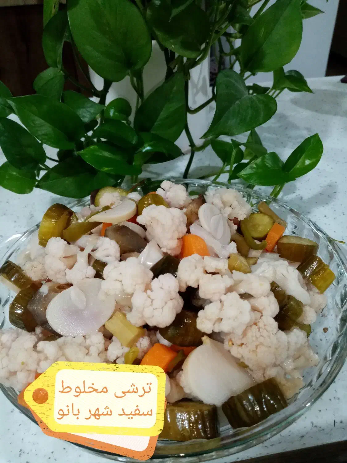 انواع ترشی خونگی وارگانیک|خوردنی و آشامیدنی|اهواز, بهارستان|دیوار