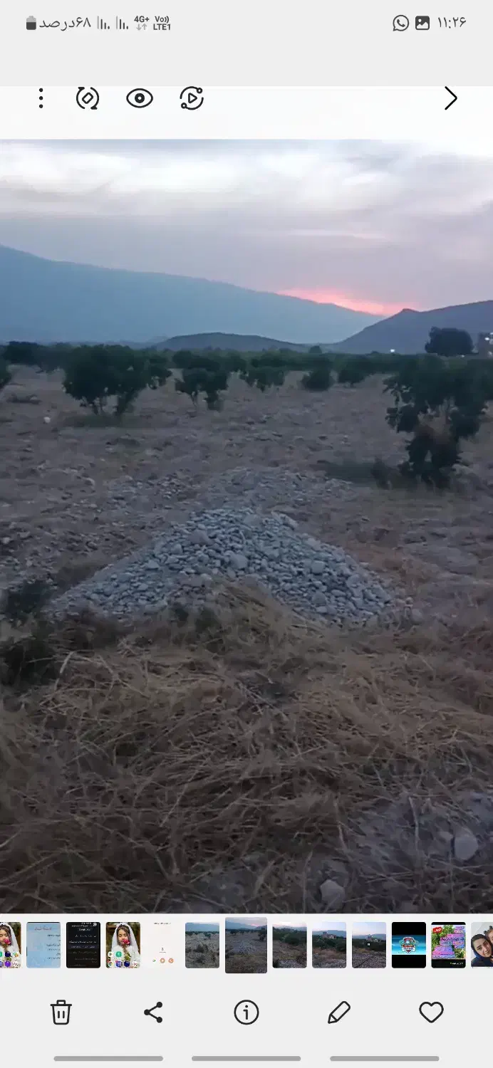 باغ انجیر میمند|فروش زمین و ملک کلنگی|میمند, |دیوار