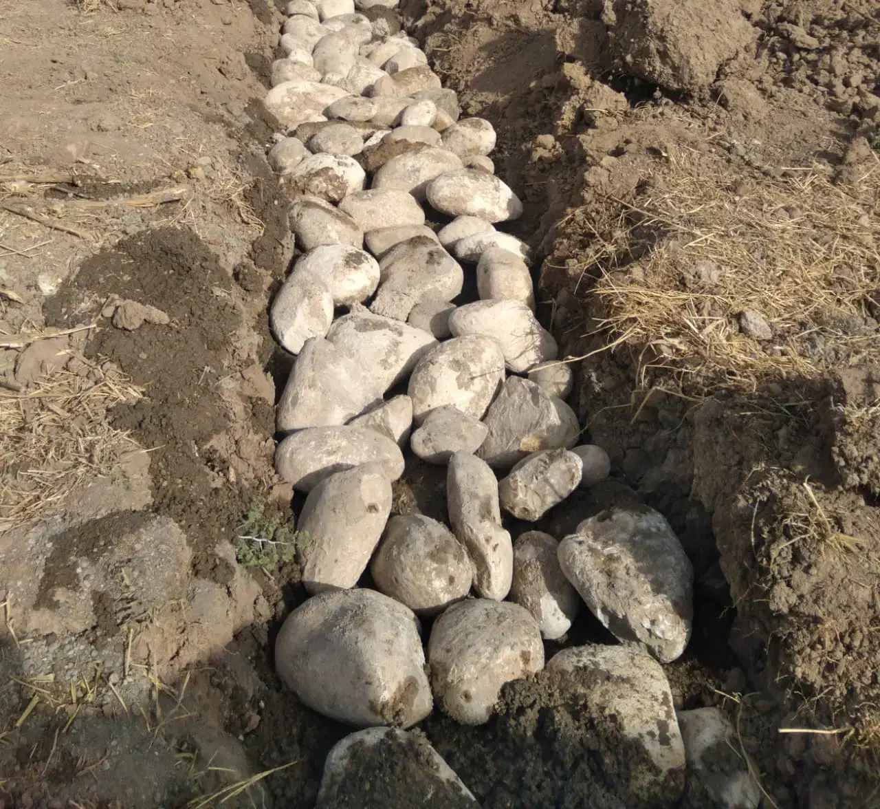 بنایی|خدمات پیشه و مهارت|دزفول, |دیوار