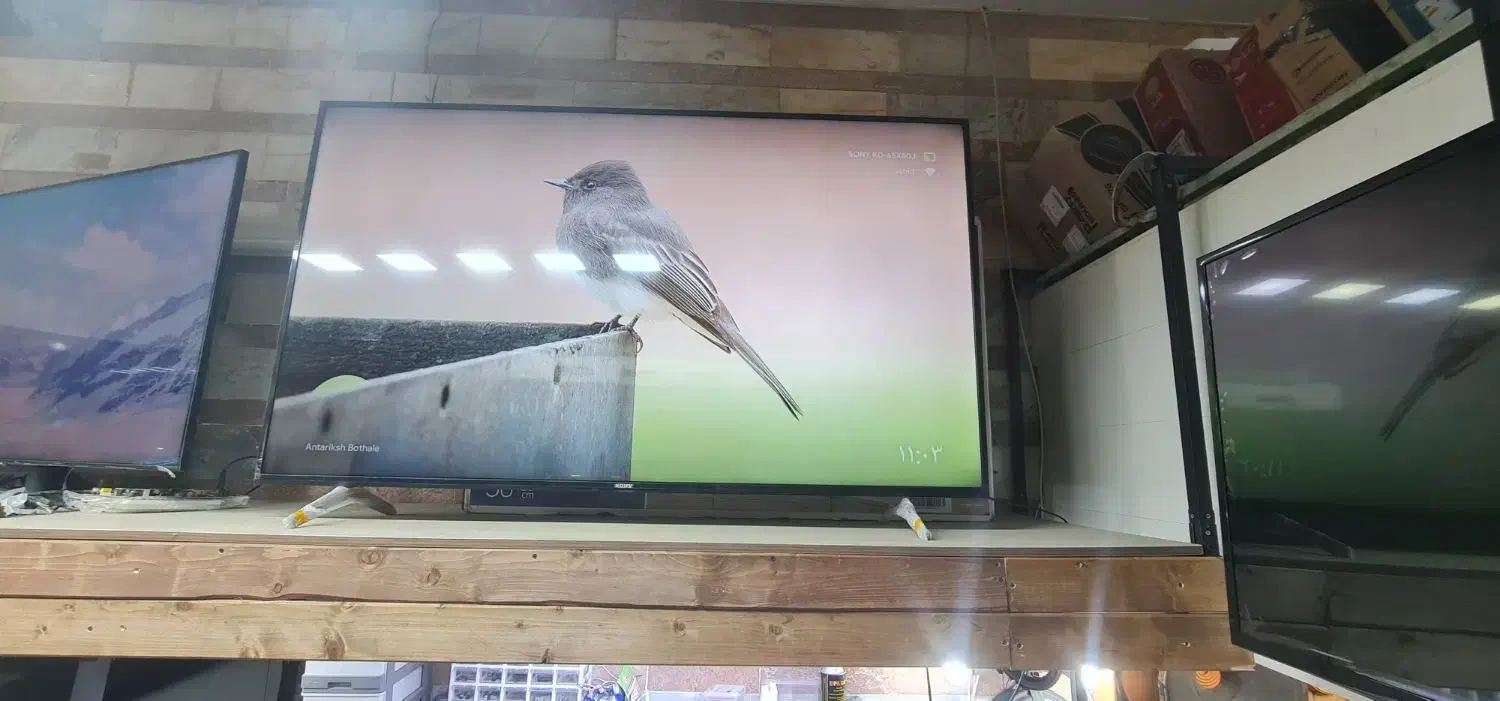 65x80j|تلویزیون و پروژکتور|بناب, |دیوار