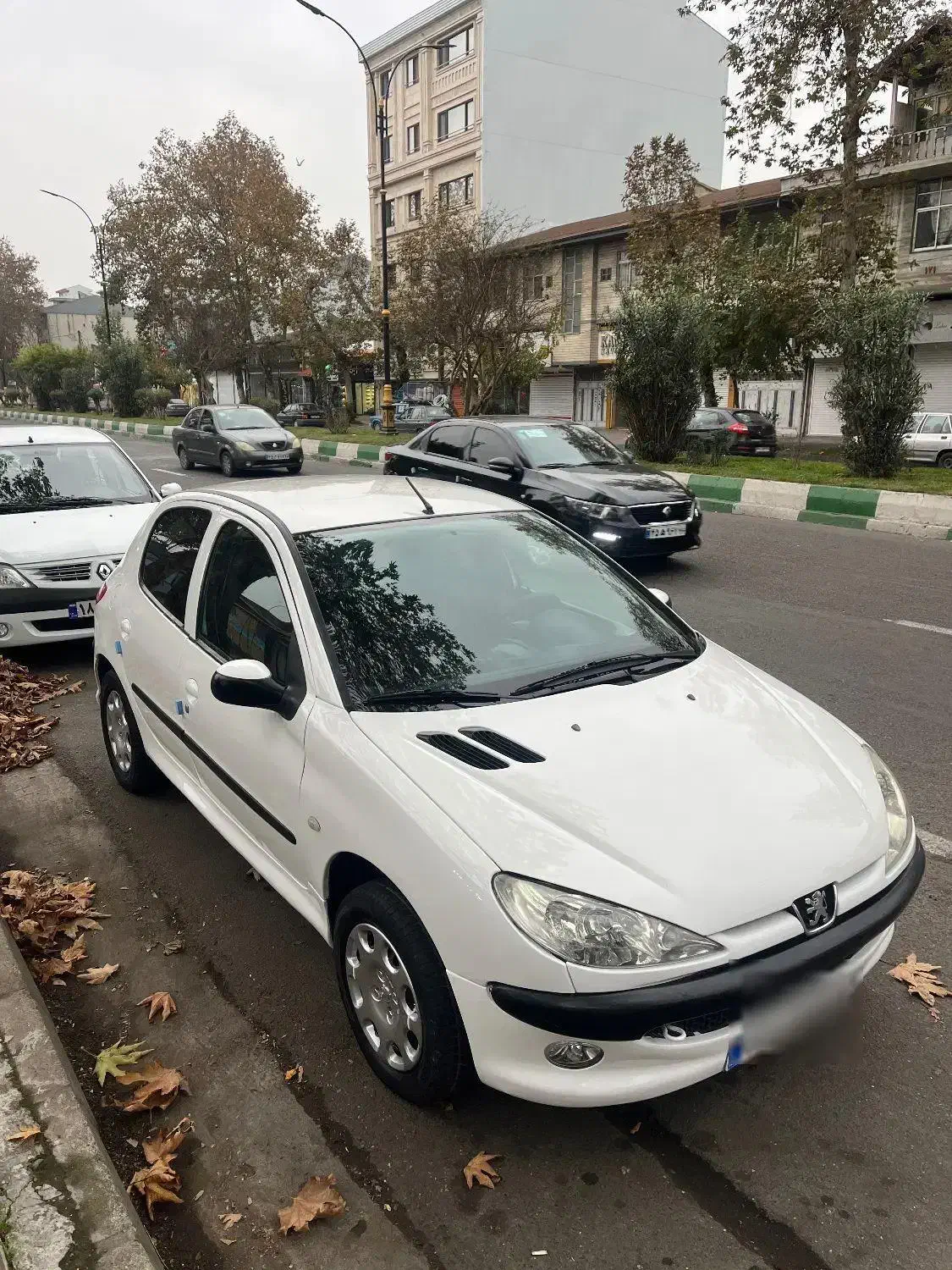 ۲۰۶ تیپ ۲ مدل ۸۶|خودرو سواری و وانت|رشت, فلسطین|دیوار