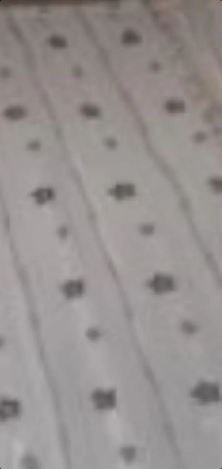 پرده پذیرایی|پرده، رانر، رومیزی|شیراز, نصر|دیوار