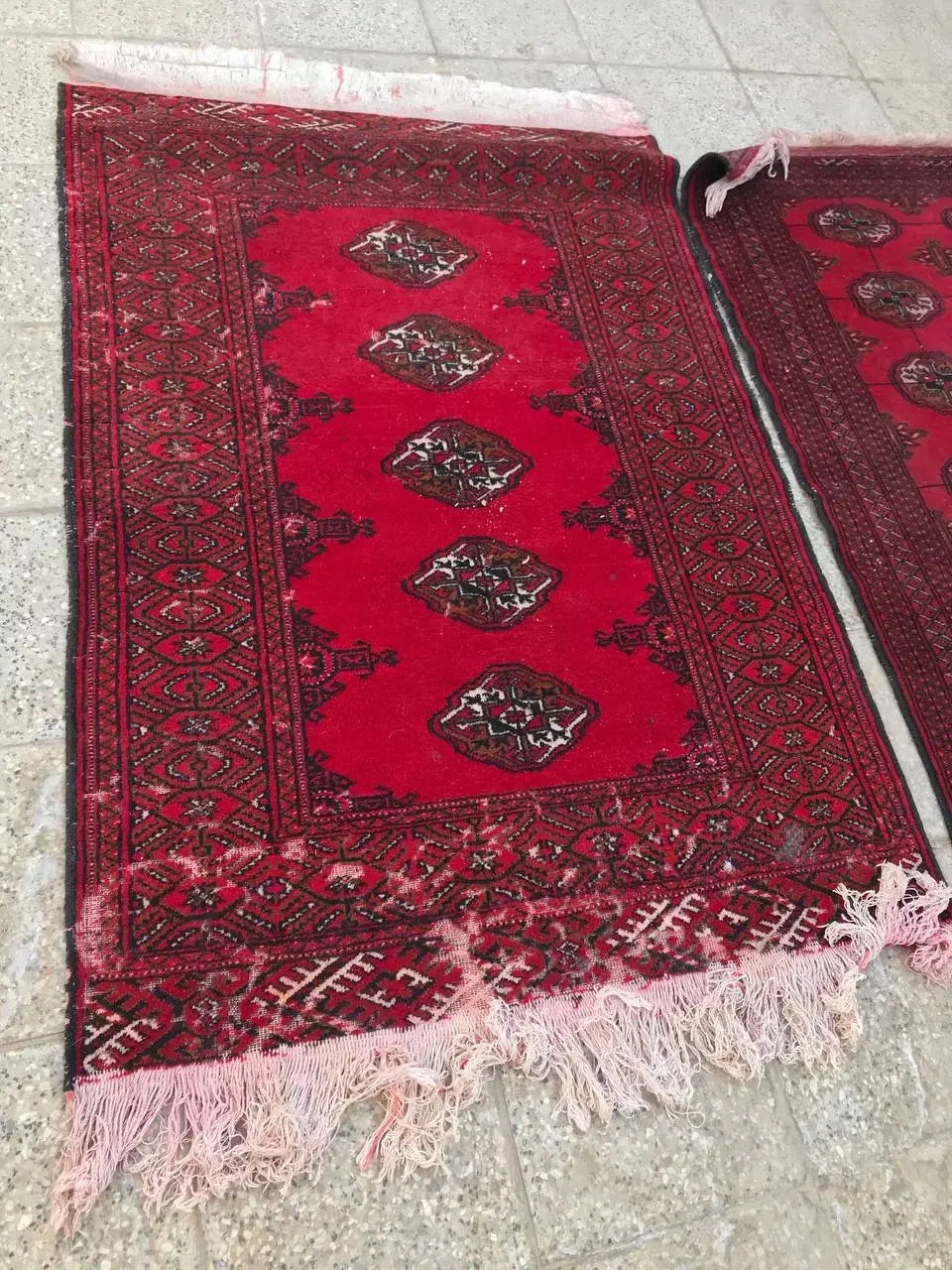 قالیچه دستباف|فرش|مشهد, طلاب|دیوار