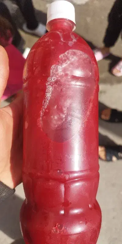 زرشک تازه اعلا بسته بندی شیک کیلوی199 با ارسال|خوردنی و آشامیدنی|مشهد, رسالت|دیوار