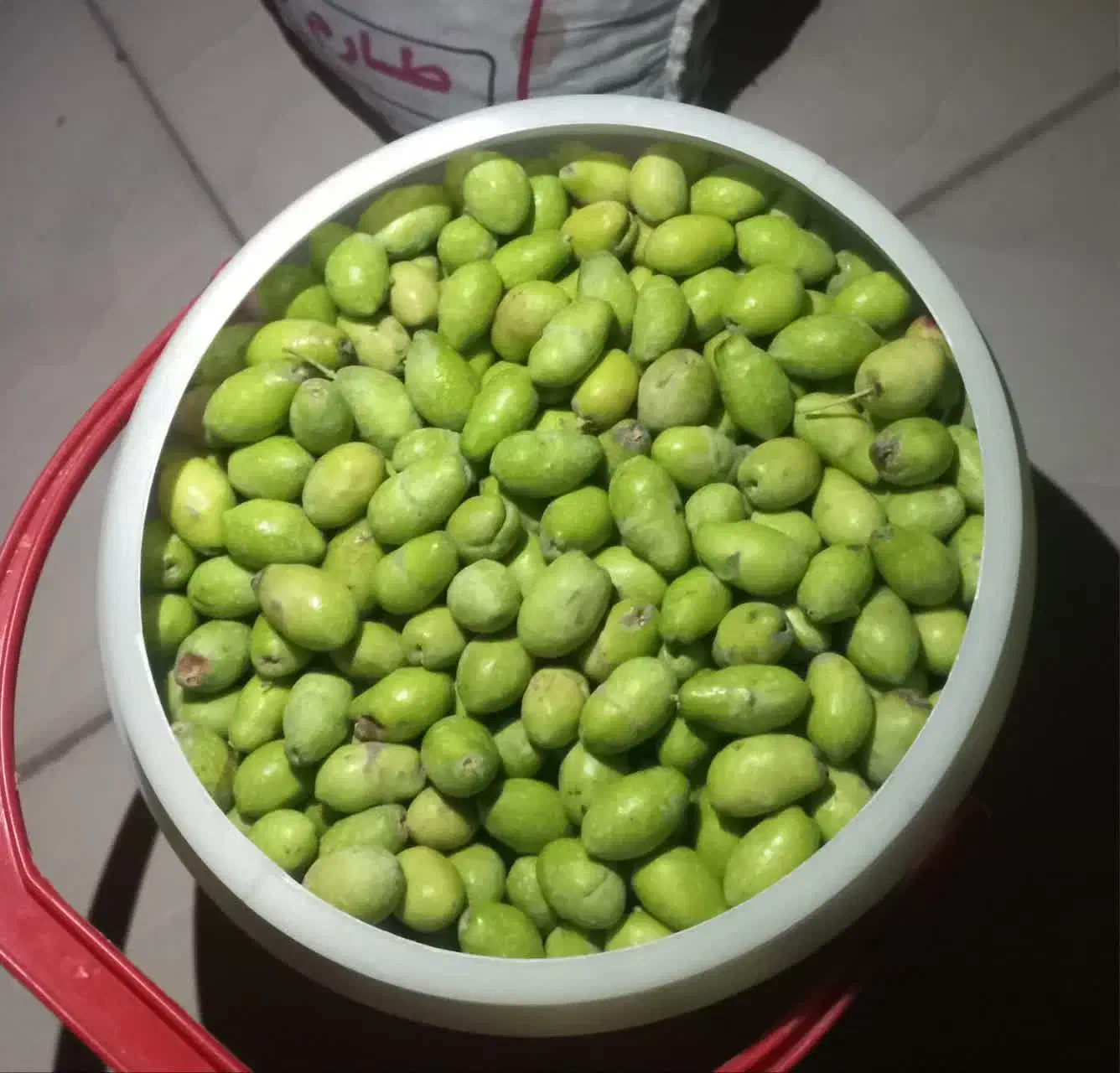 زیتون تازه|خوردنی و آشامیدنی|قم, هنرستان|دیوار